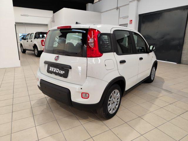 FIAT Panda 1.0 FireFly S&S Hybrid RED