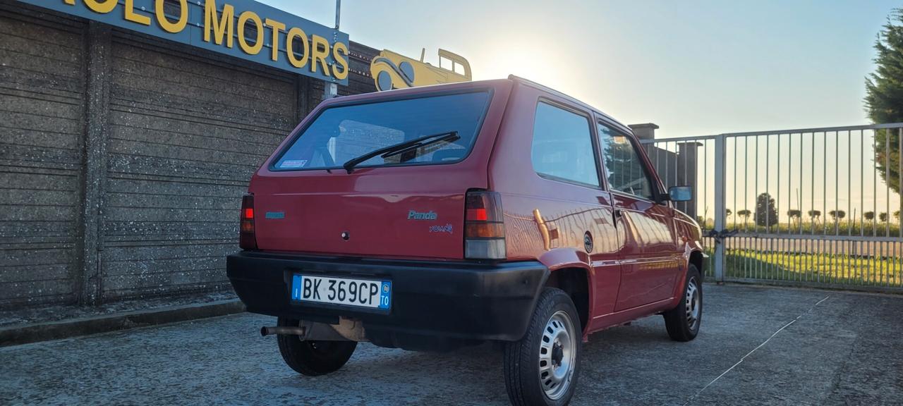 Fiat Panda 900 i.e. cat Young