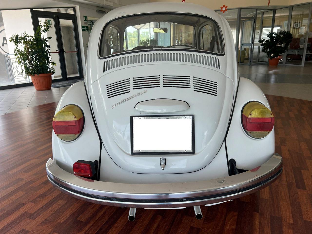 Volkswagen Maggiolino