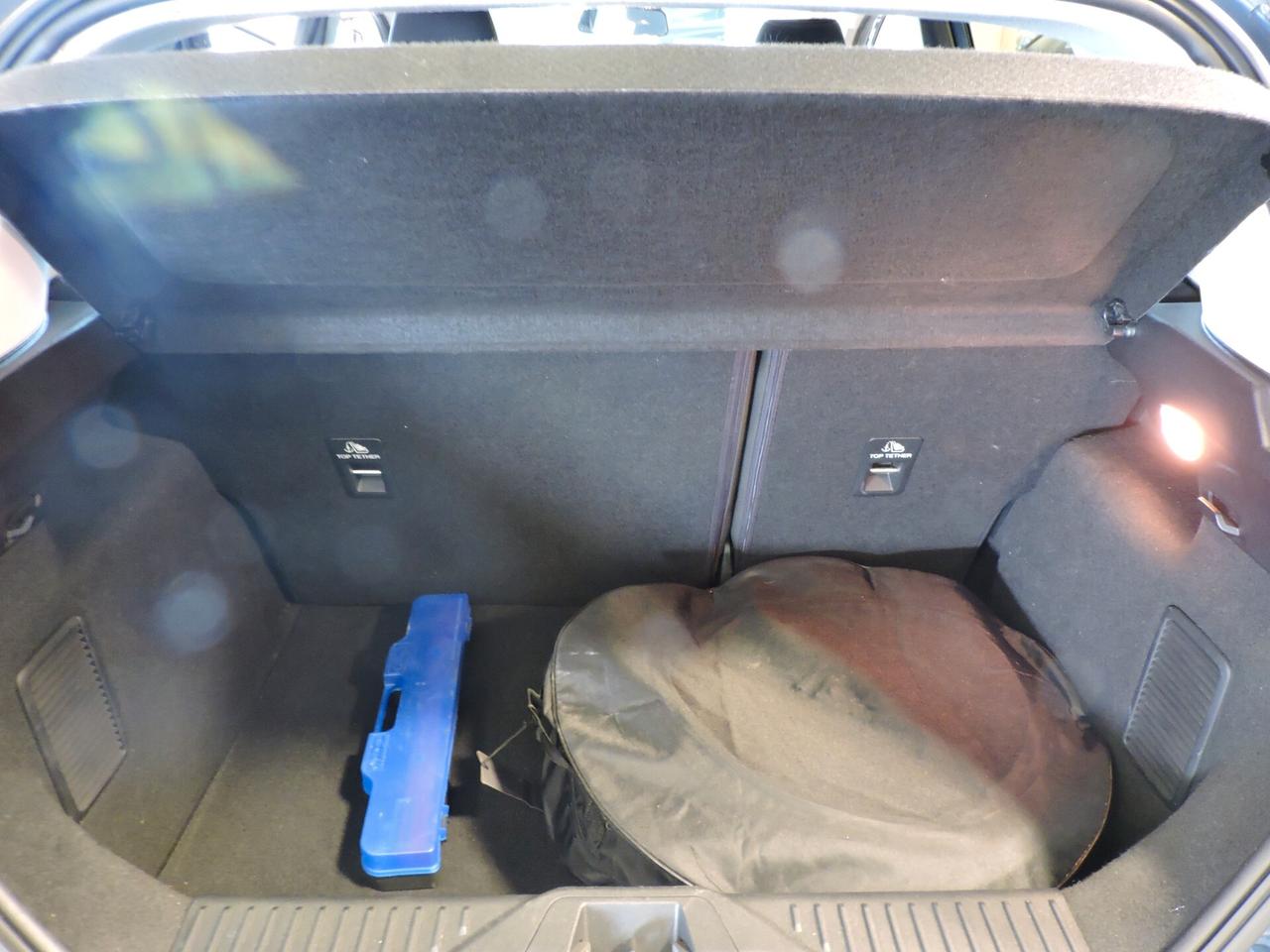 Ford Fiesta 1.0 Ecoboost Hybrid 125 CV 5 porte Titanium