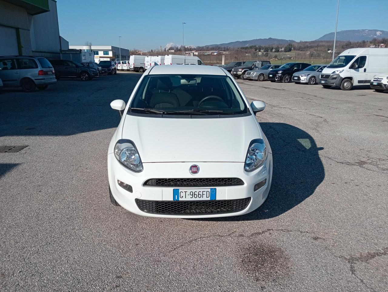 Fiat Punto 1.2 Street 5 porte OK NEOPATENTATI