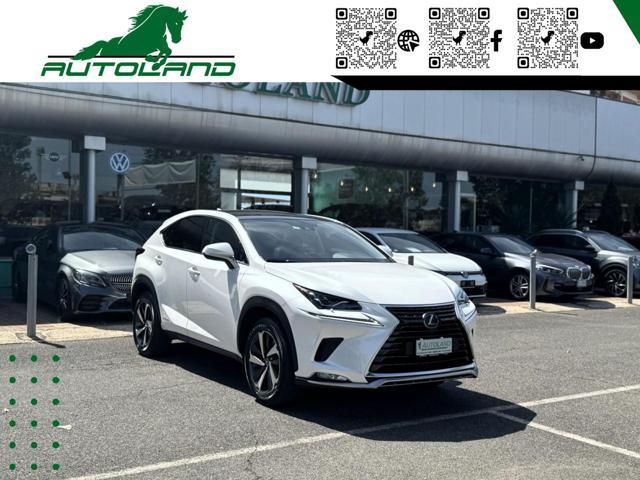 LEXUS NX 300 Hybrid 4WD Executive 155 CV