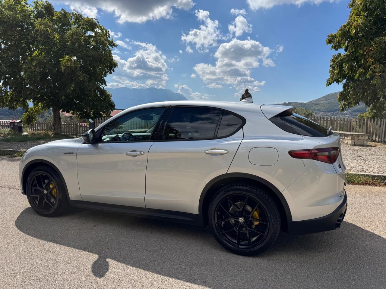 Alfa Romeo Stelvio 2.2 Turbodiesel 190 CV AT8 RWD Executive