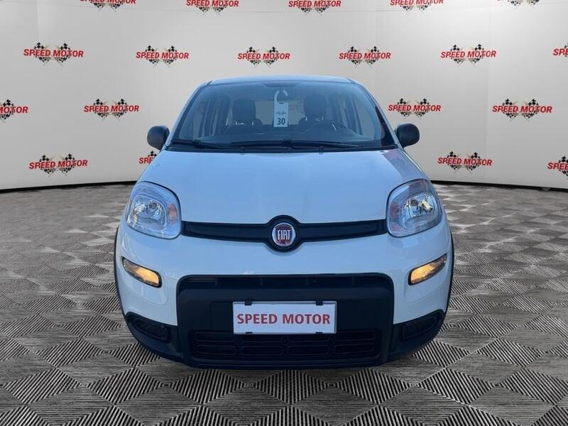 FIAT Panda Panda 1.0 firefly hybrid 70cv 5 POSTI, SENSORI!