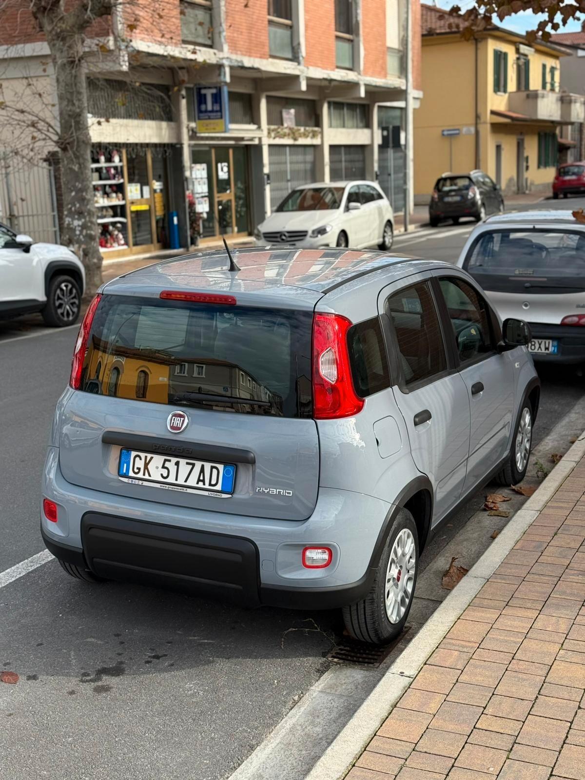 Fiat Panda 1.0 FireFly S&S Hybrid