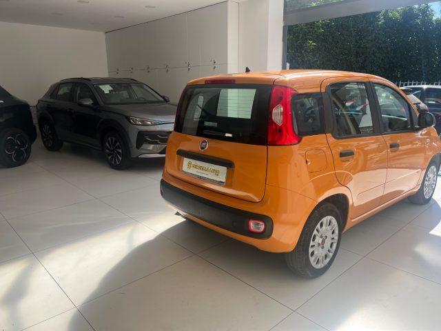 FIAT Panda 1.2 EasyPower TUA A SOLI 110 EURO MENSILI