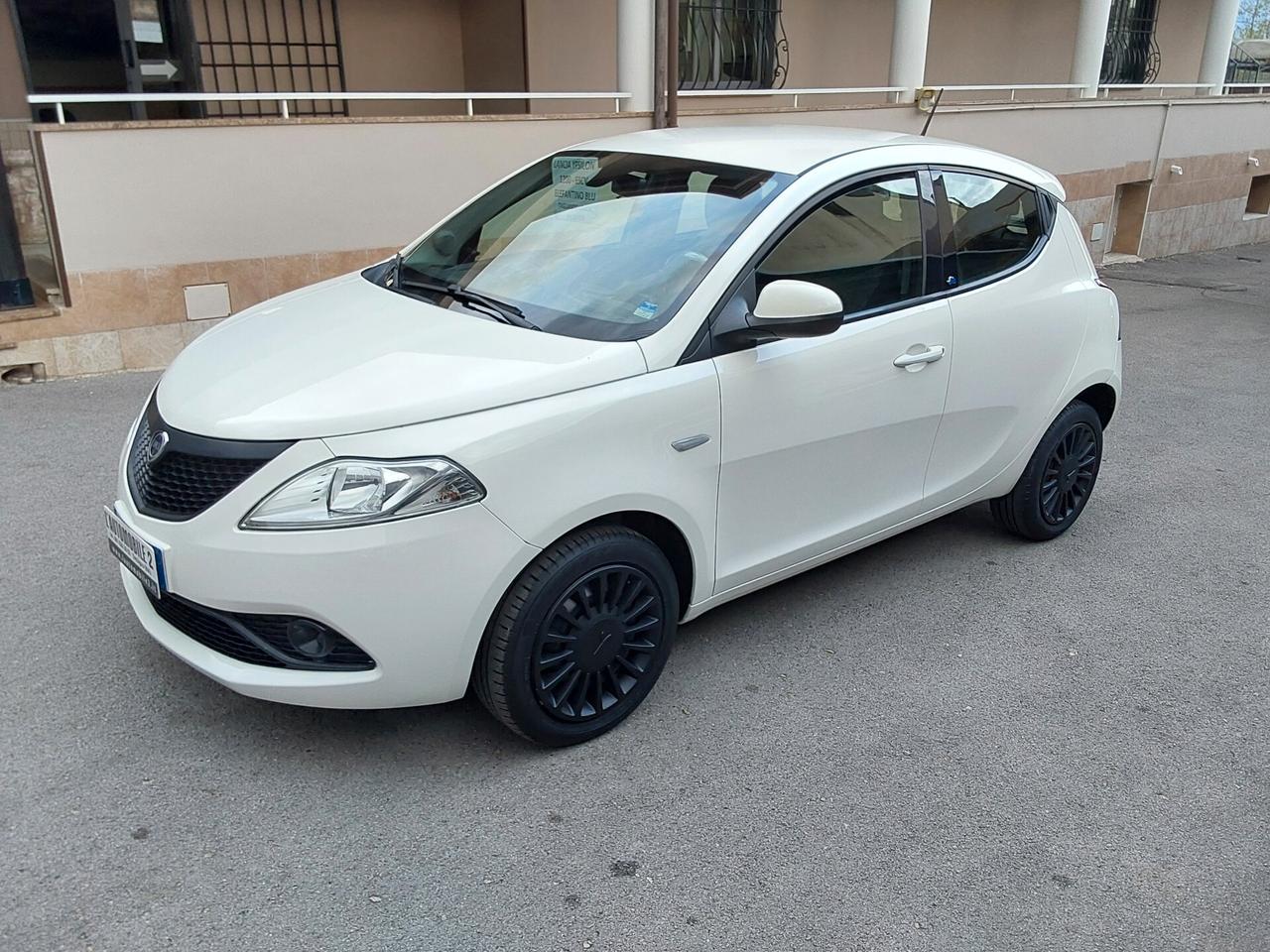 Lancia Ypsilon 1.2 69 CV Elefantino Blu
