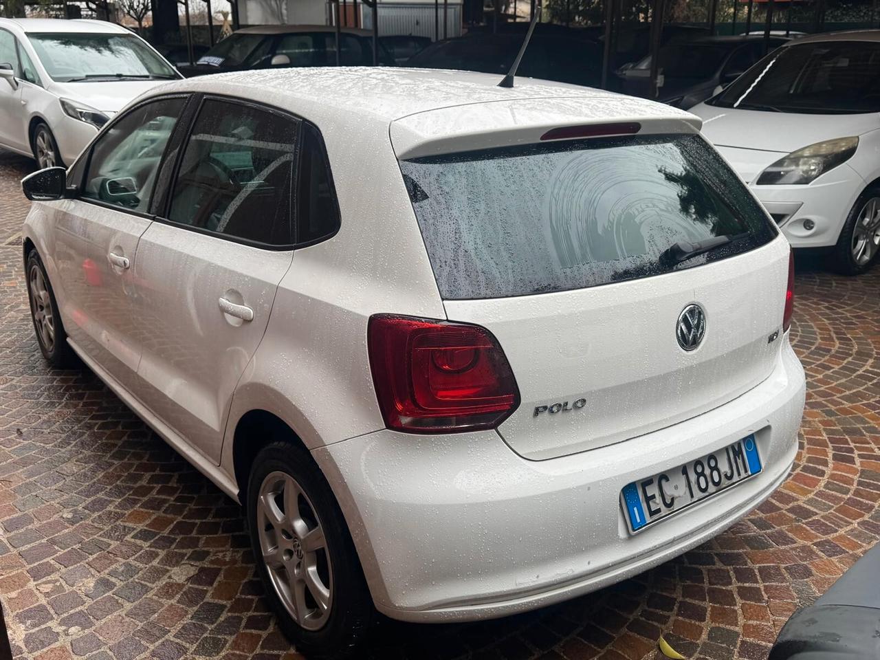 Volkswagen Polo 1.6 TDI 75CV DPF 5 porte Comfortline