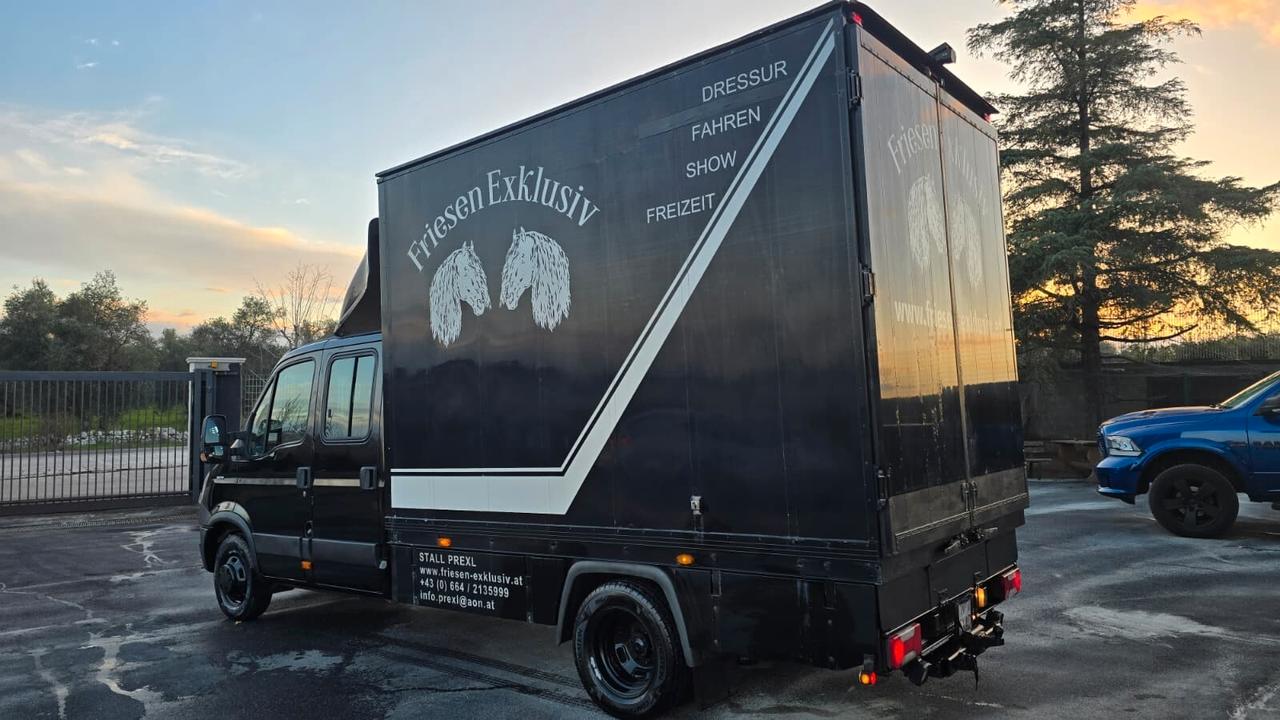 Iveco Daily - Trasporto Cavalli