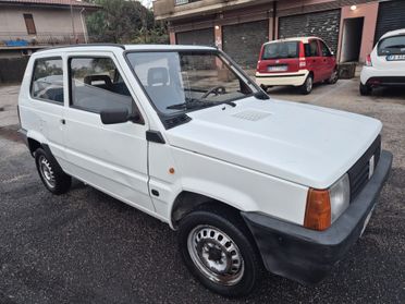 Fiat Panda 1100 i.e. cat Young