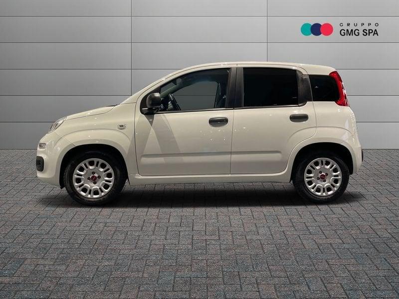 FIAT Panda 1.0 firefly hybrid s&s 70cv 5p.ti