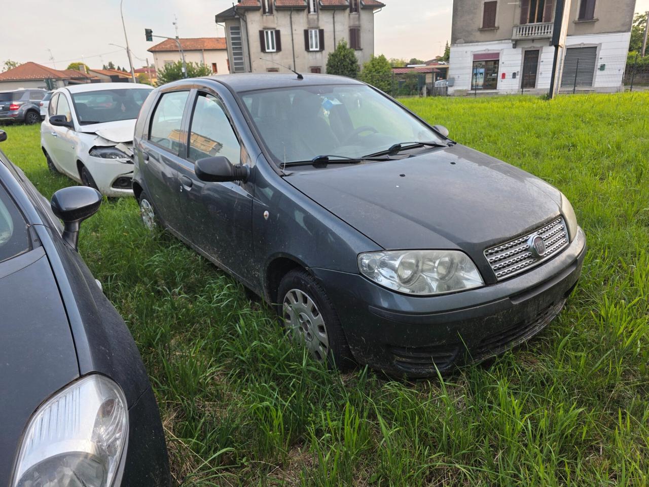 Fiat Punto Evo 1.3 Mjt 75 CV 5 porte Active