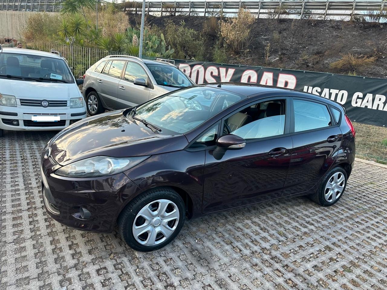 Ford Fiesta 1.4 TDCi 68CV 5 porte Titanium-02/2010