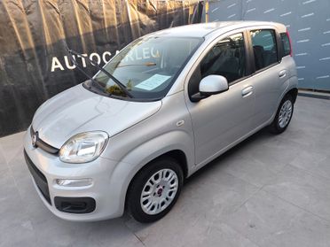 Fiat Panda 1.2 BENZINA GARANZIA 12 MESI