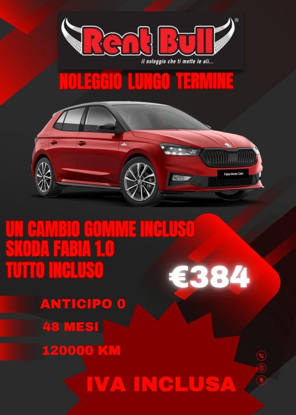 NOLEGGIO A LUNGO TERMINE SKODA FABIA