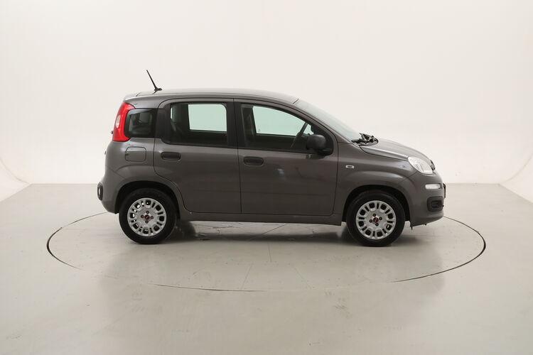 Fiat Panda Easy BZ810759 1.2 Benzina 69CV