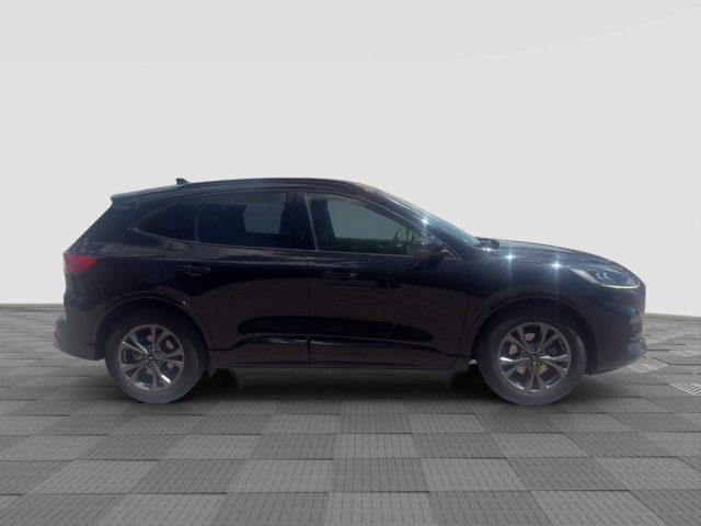 FORD Kuga Kuga 2.0 EcoBlue Hybrid 150 CV 2WD ST-Line