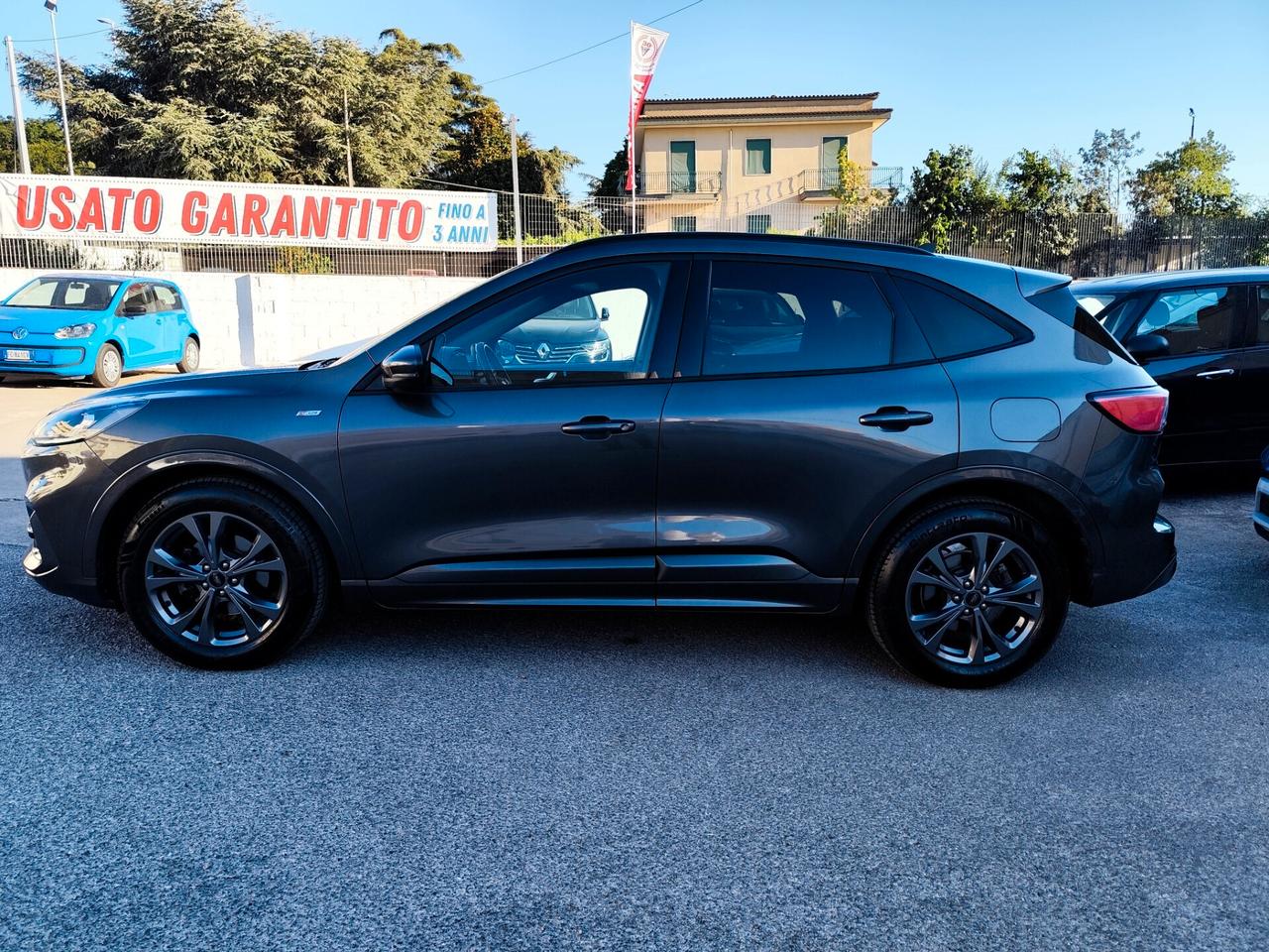 Ford Kuga 2.0 EcoBlue Hybrid 150 CV 2WD ST-Line