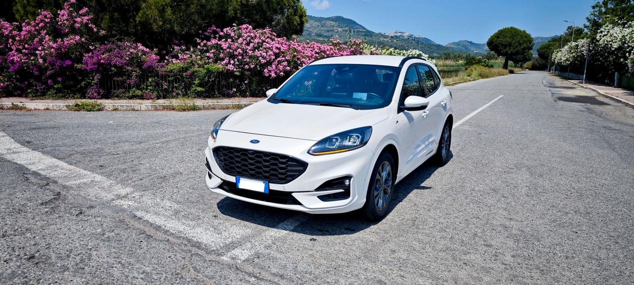 Ford Kuga 2.5 Full Hybrid 190 CV CVT 2WD ST-Line X Design