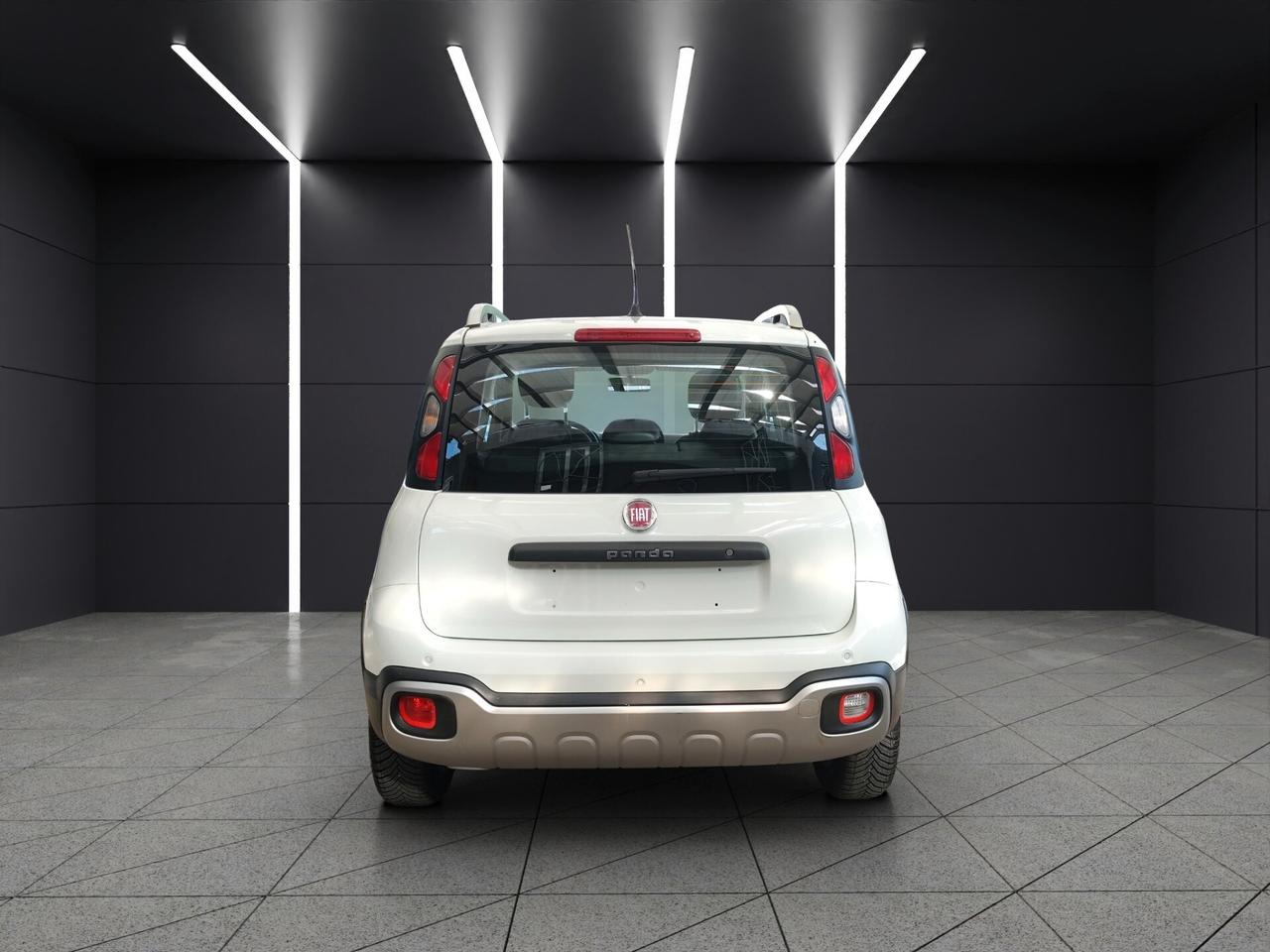 FIAT Panda 3ª serie Panda 1.2 City Cross