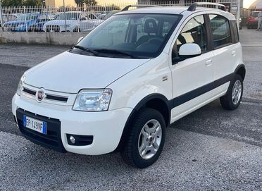 Fiat Panda 1.3 M-jet 4x4 Climbing