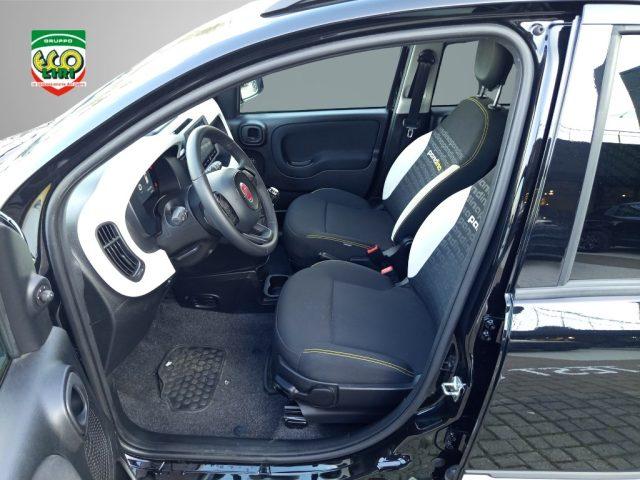FIAT Panda 1.0 FireFly S&S Hybrid Pandina