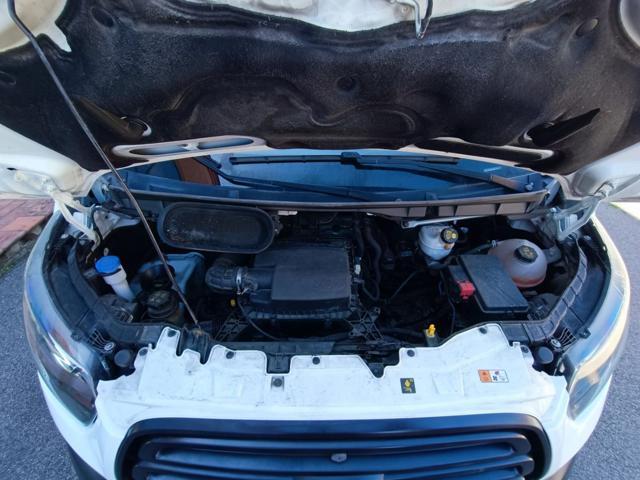 FORD Transit 350 2.0TDCi EcoBlue 130CV PL-TM Furgone Entry