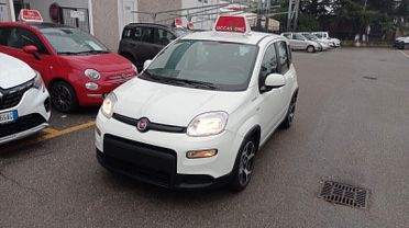 Fiat Panda 1.0 FireFly S&S Hybrid SPORT*PREZZO REALE*