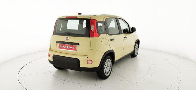 FIAT Panda 1.0 FireFly S&S Hybrid - KM ZERO