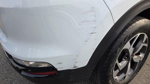 KIA Sportage 1.6 CRDI 115 CV 2WD Urban PERMUTE OK NEOPATENTATI