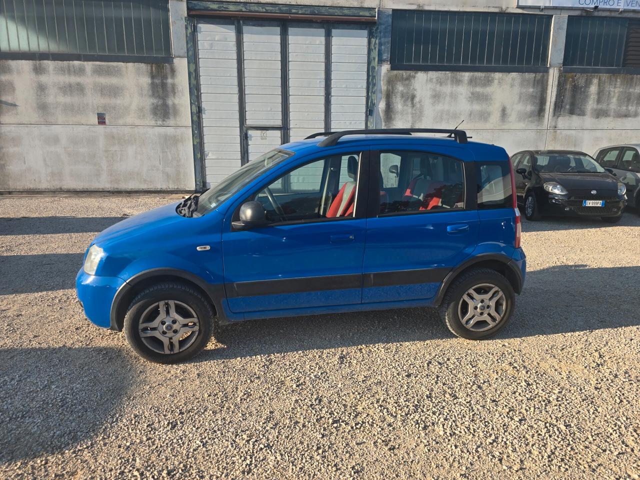 Fiat Panda 1.2 benzina 4x4 cv 60