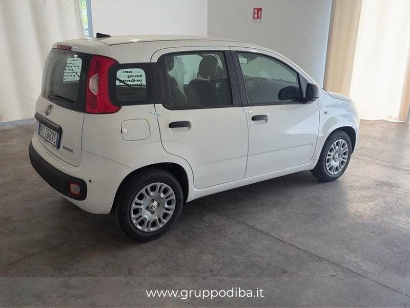 FIAT Pandina 1PA My26 1.0 65cv Hybrid Icon