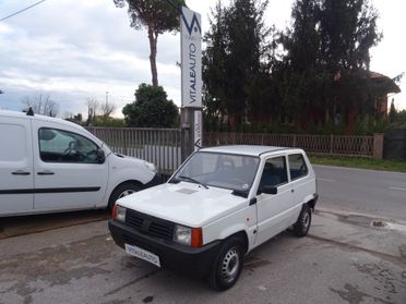 Fiat Panda 1100 i.e. cat Young