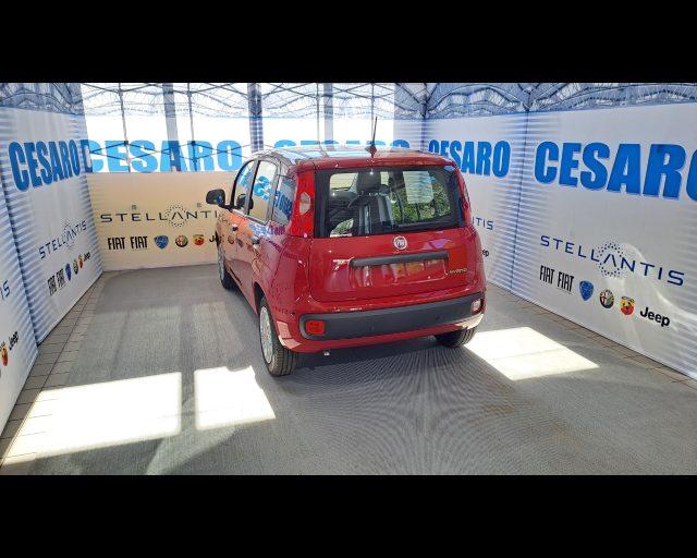 FIAT New Panda 1.0 firefly hybrid s&s 70cv - PACK CITY