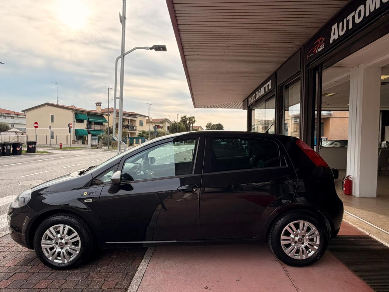 Fiat Punto 1.2 8V 5 porte Young
