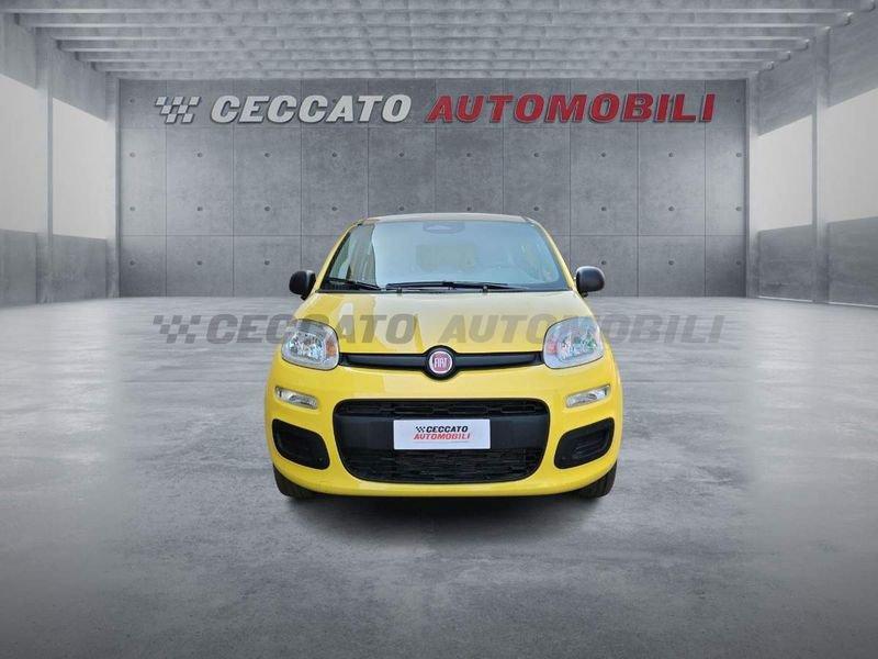 FIAT Panda Panda 1.0 firefly hybrid s&s 70cv