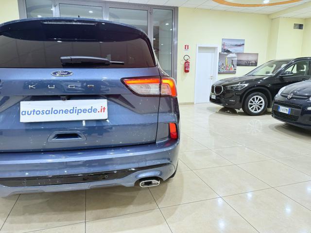 FORD Kuga 2.0 EcoBlue 120 CV aut. 2WD ST-Line
