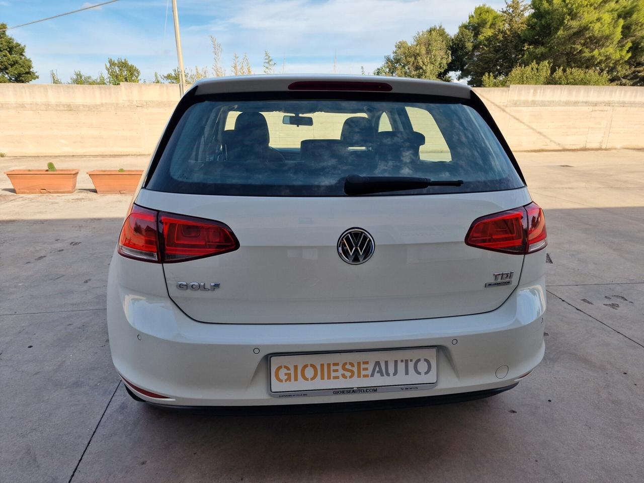 Volkswagen Golf 1.6 TDI 5p. Comfortline BlueMotion