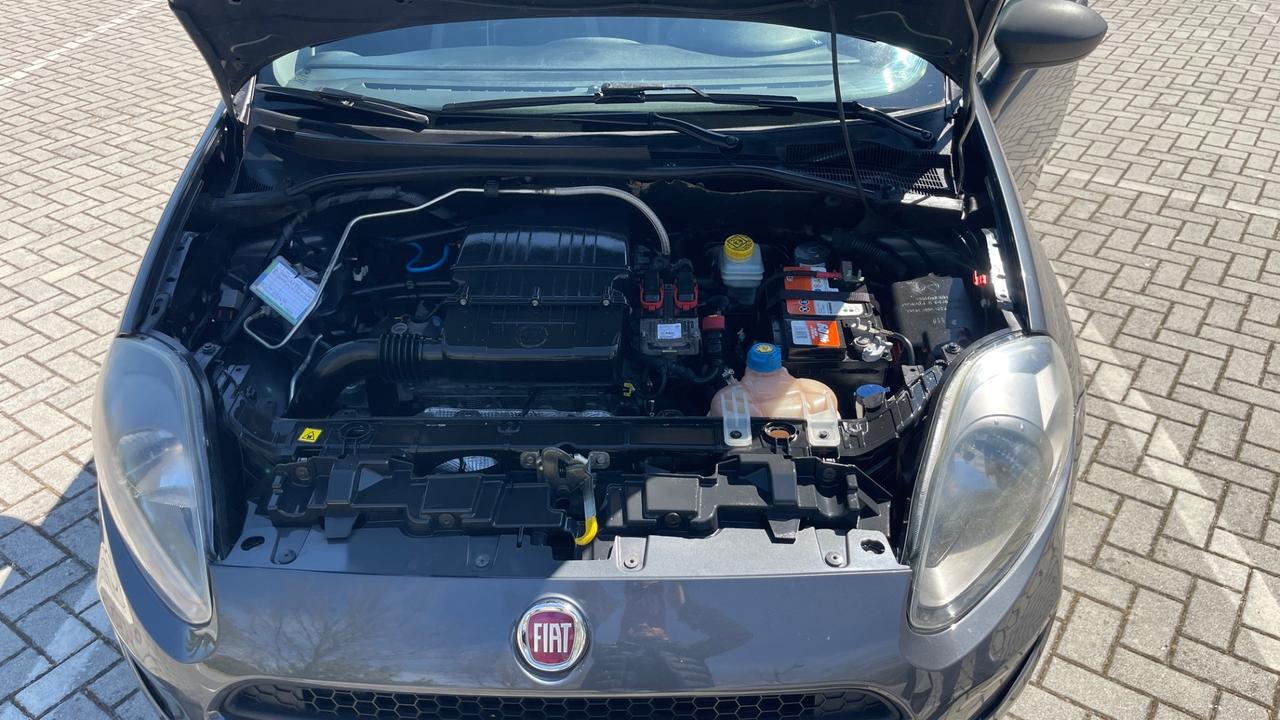 Fiat Punto 1.4 8V 5 porte Natural Power Pop