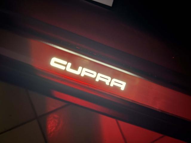 CUPRA Formentor 2.0 TDI 150 CV 4Drive DSG ''OPACA''