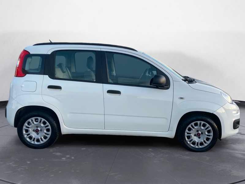 FIAT Panda 1.3 mjt 16v Easy 75cv