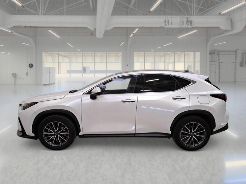 LEXUS NX Hybrid Premium 4WD MY22
