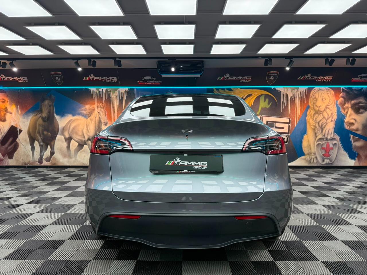 Tesla Model Y Long Range ADW (337)