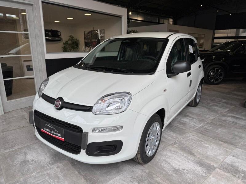 FIAT Panda 3ª serie Panda 1.0 FireFly S&S Hybrid