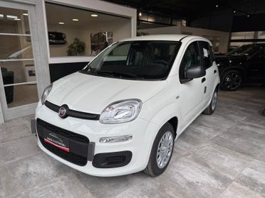 FIAT Panda 3ª serie Panda 1.0 FireFly S&S Hybrid