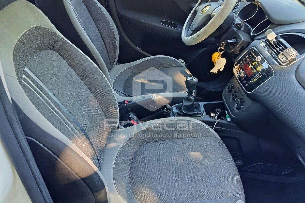 FIAT Punto 1.2 8V 5 porte Easy