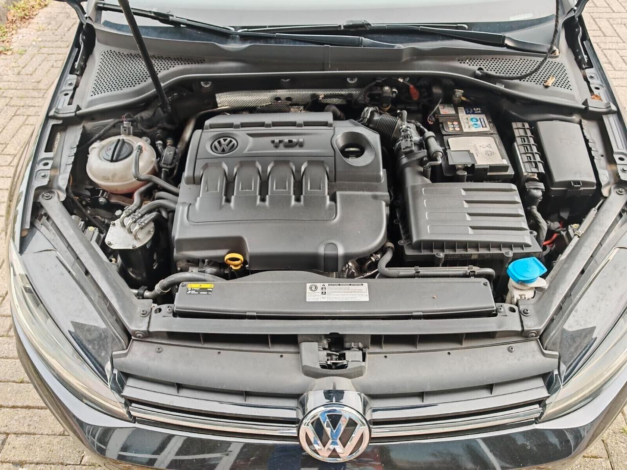 Volkswagen Golf Variant 1.6 TDI 115 CV DSG Executive BlueMotion Tech.