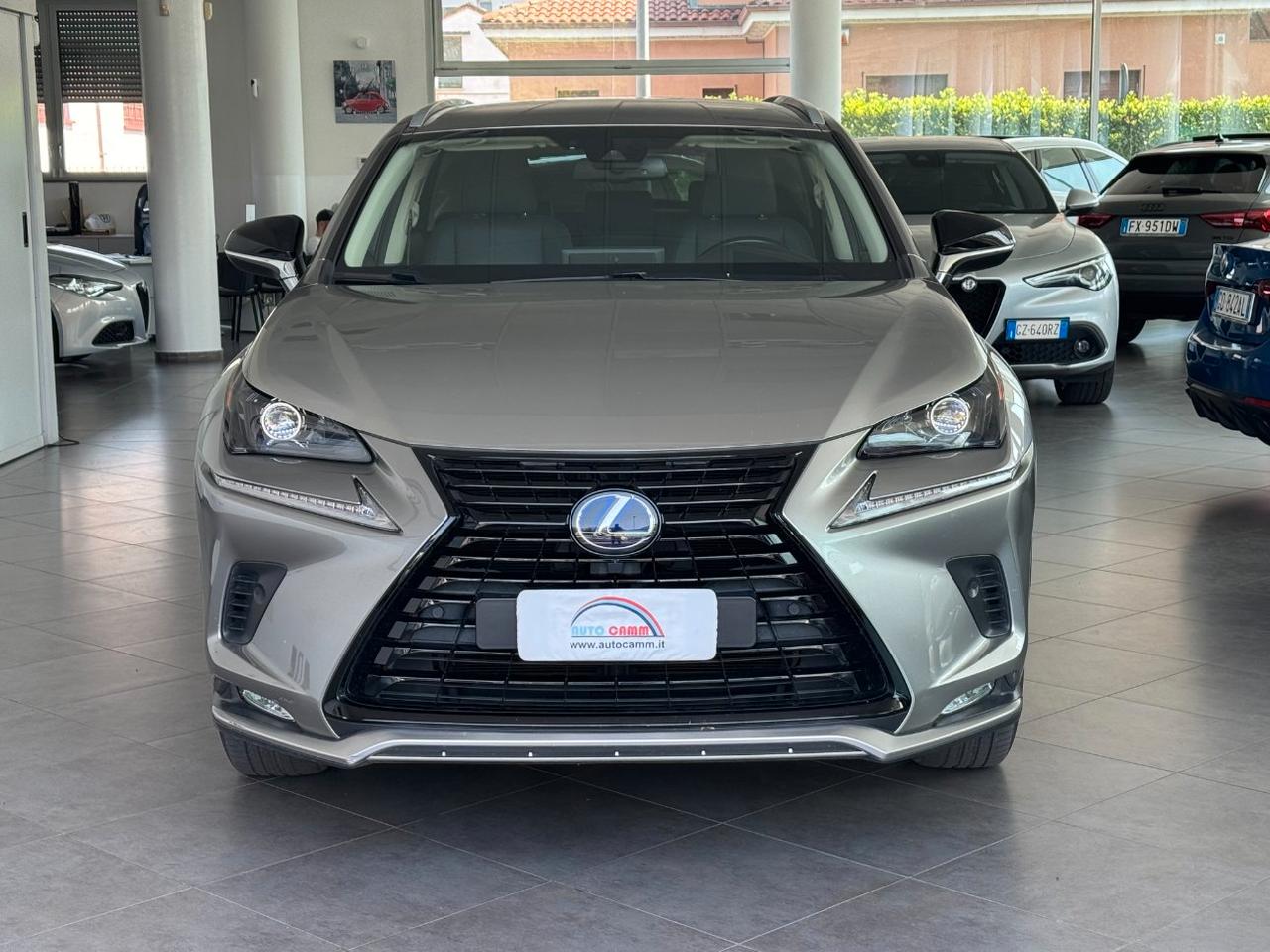 Lexus NX 300h 2.5 Premium cvt 4wd 4x4 awd