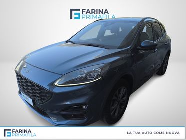 FORD Kuga III 2020 - Kuga 2.5 phev ST-Line X 2wd 225cv cvt