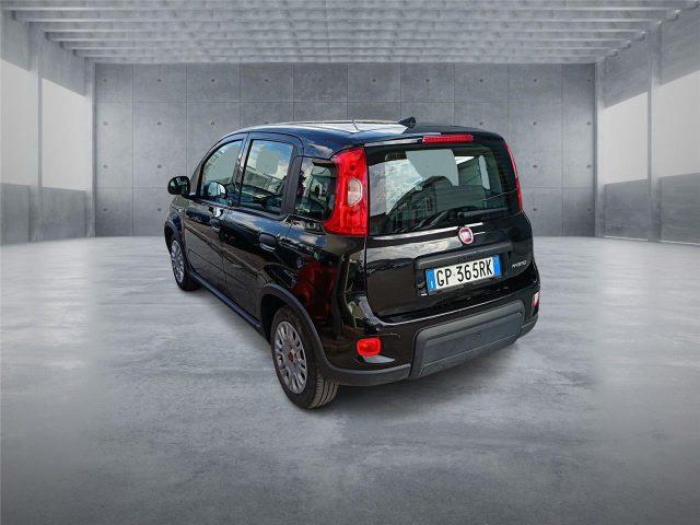 FIAT Panda 3ª serie 1.0 FireFly S&S Hybrid